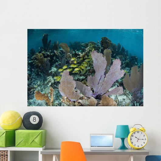 Colorful Gorgonians Grow off Wall Decal Design 3