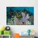 Colorful Gorgonians Grow off Wall Decal Design 3