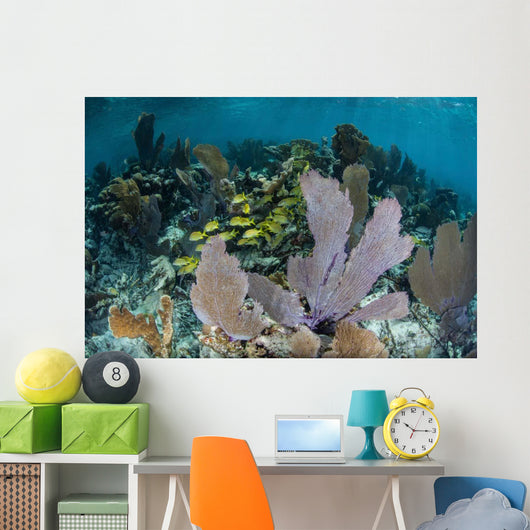 Colorful Gorgonians Grow off Wall Decal Design 3