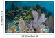 Colorful Gorgonians Grow off Wall Decal Design 3