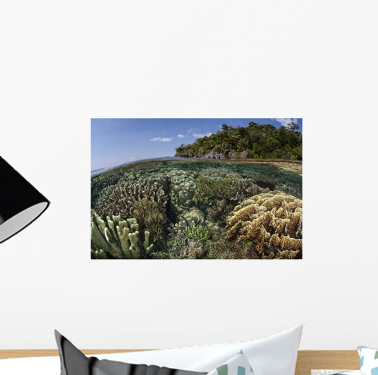 Diverse Array Reef-building Corals Wall Decal Design 2