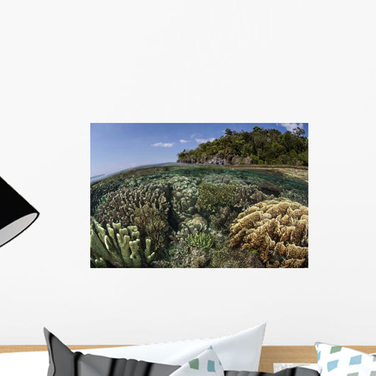 Diverse Array Reef-building Corals Wall Decal Design 2