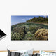 Diverse Array Reef-building Corals Wall Decal Design 2