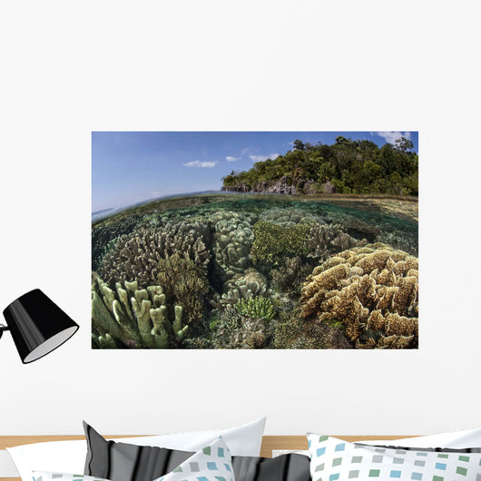 Diverse Array Reef-building Corals Wall Decal Design 2