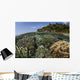 Diverse Array Reef-building Corals Wall Decal Design 2