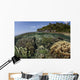 Diverse Array Reef-building Corals Wall Decal Design 2