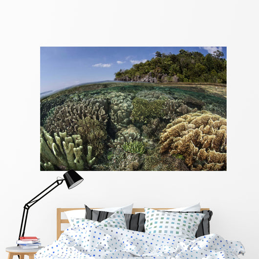 Diverse Array Reef-building Corals Wall Decal Design 2
