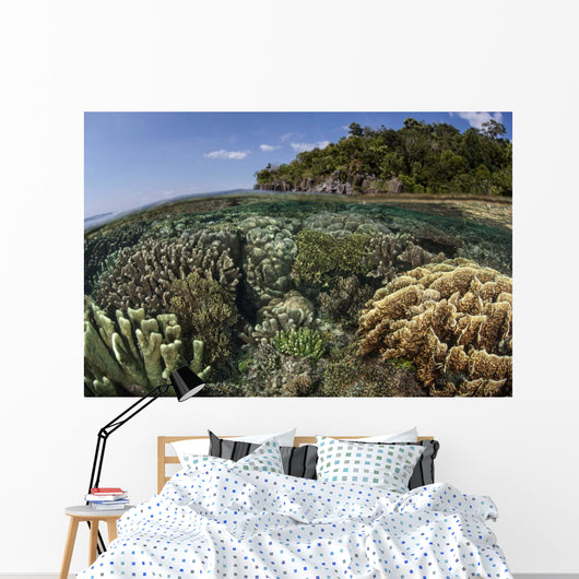 Diverse Array Reef-building Corals Wall Decal Design 2
