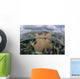 Colorful Gorgonian Grows off Wall Decal Design 1