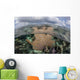 Colorful Gorgonian Grows off Wall Decal Design 1