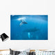 Humpback Whale and Her Wall Decal Design 1