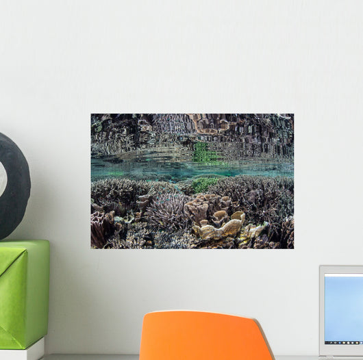 Fragile Corals Grow Shallow Wall Decal Design 7