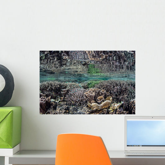 Fragile Corals Grow Shallow Wall Decal Design 7