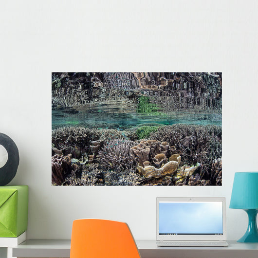 Fragile Corals Grow Shallow Wall Decal Design 7