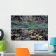 Fragile Corals Grow Shallow Wall Decal Design 7