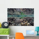 Fragile Corals Grow Shallow Wall Decal Design 7