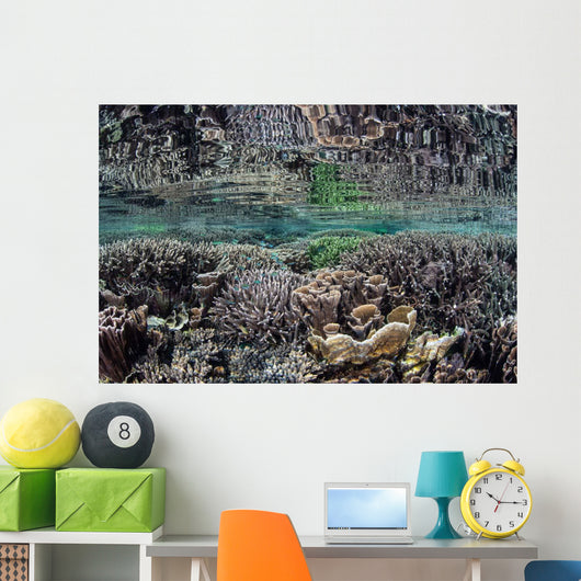 Fragile Corals Grow Shallow Wall Decal Design 7