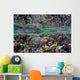Fragile Corals Grow Shallow Wall Decal Design 7