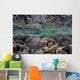Fragile Corals Grow Shallow Wall Decal Design 7