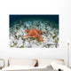 West Indian Starfish Seafloor Wall Decal Design 11