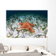 West Indian Starfish Seafloor Wall Decal Design 11