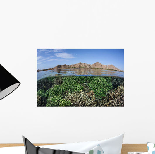 Fragile Corals Grow Shallow Wall Decal Design 6