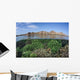 Fragile Corals Grow Shallow Wall Decal Design 6