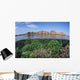 Fragile Corals Grow Shallow Wall Decal Design 6