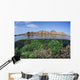 Fragile Corals Grow Shallow Wall Decal Design 6