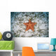 West Indian Starfish Seafloor Wall Decal Design 10