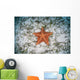 West Indian Starfish Seafloor Wall Decal Design 10