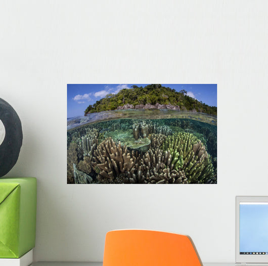 Diverse Array Reef-building Corals Wall Decal Design 1