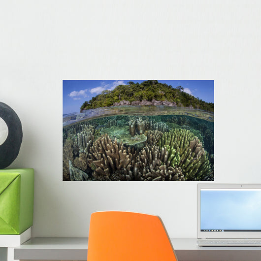 Diverse Array Reef-building Corals Wall Decal Design 1