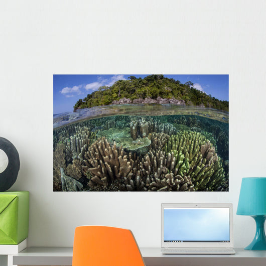 Diverse Array Reef-building Corals Wall Decal Design 1