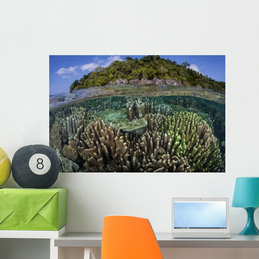 Diverse Array Reef-building Corals Wall Decal Design 1