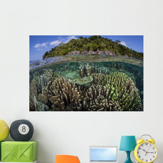 Diverse Array Reef-building Corals Wall Decal Design 1
