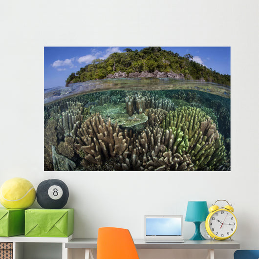 Diverse Array Reef-building Corals Wall Decal Design 1