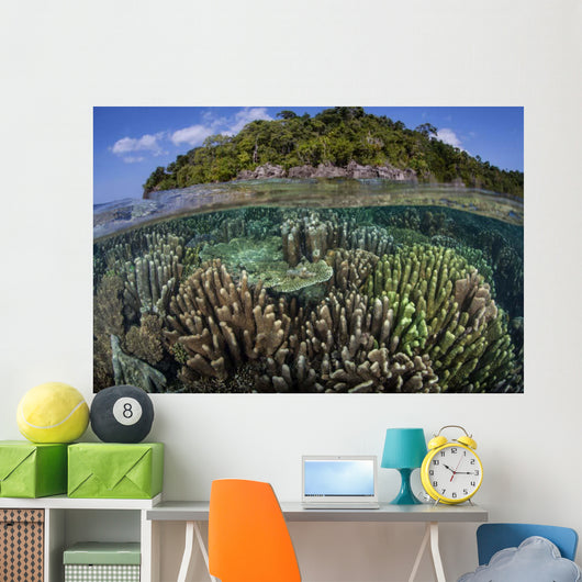 Diverse Array Reef-building Corals Wall Decal Design 1