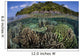 Diverse Array Reef-building Corals Wall Decal Design 1