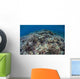 Corals Compete for Space Wall Decal Design 2