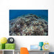 Corals Compete for Space Wall Decal Design 2