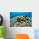 Corals Compete for Space Wall Decal Design 1