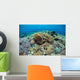 Corals Compete for Space Wall Decal Design 1