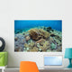 Corals Compete for Space Wall Decal Design 1