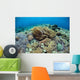Corals Compete for Space Wall Decal Design 1