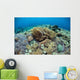 Corals Compete for Space Wall Decal Design 1