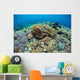 Corals Compete for Space Wall Decal Design 1