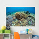 Corals Compete for Space Wall Decal Design 1