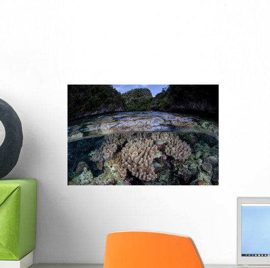 Set Soft Corals Grows Wall Decal