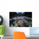 Set Soft Corals Grows Wall Decal
